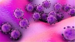 Six coronaviruses wey don affect pipo