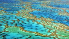 Aerial view of the Great Barrier Reef, Australia on 24 November 2016