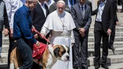 Pope Francis inside foto where e dey pet animal