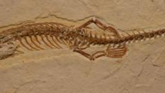 legs on the snake fossil