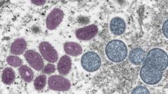 Monkeypox cells under a microscope