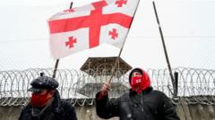 Активисты поддерживают главу ЕДН Нику Мелия
