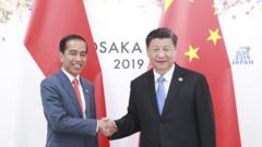 2019年6月，20国集团峰会期间习近平在大阪会见印度尼西亚总统佐科