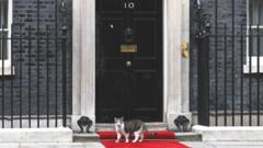 Larry the Downing Street cat outside No 10