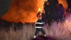 A firefighter battles the flames after a wildfire broke out in Petralia Soprana, Italy, 10 August 2021