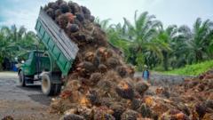 'Orang dalam' diduga muluskan bisnis biodiesel dan sawit para konglomerat