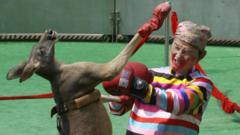 An Australian kangaroo boxes with a man in a clown suit during the 2006 Animal Olympics at the Shanghai Wild Animal Park, 28 September 2006.