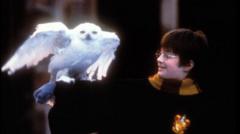 Harry Potter and his owl