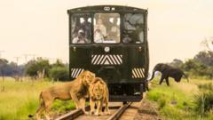 승객들이 열차에 타고 있다. 철로 열차 앞쪽에 사자 두 마리, 열차 뒤쪽 부근으로는 코끼리 한 마리가 보인다