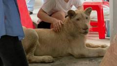 動物 ページ 3 11 cニュース