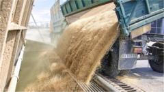 Grain being unloaded in Ukraine's Chuhuiv region, near Kharkiv, 19 Jul 22