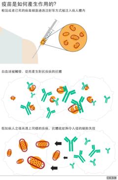 疫苗機制