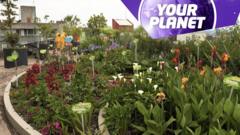 A rooftop garden and the Your Planet logo