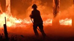 Một lính cứu hỏa ở gần thị trấn Nowra thuộc tiểu bang NSW đang nỗ lực bảo vệ những ngôi nhà gần đó khỏi đám cháy.