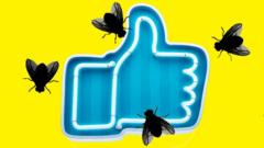 Illustration of flies hovering over a Facebook 'like' icon.