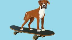 Dog on a skateboard graphic