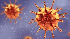 Araştırmacılar virüsün üzerindeki çıkıntılarda olan değişimleri takip ediyor