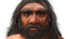 Neanderthal extinction not caused by brutal wipe out - BBC News