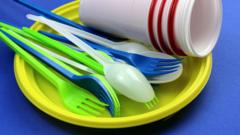 Multi-coloured plastic cutlery, cups and plates