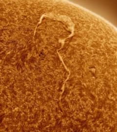A photograph of the Sun with a huge filament in the shape of a question mark