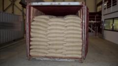 container with coffee bean bags