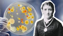 Fanny Angelina Hesse, la femme qui a révolutionné le monde de la microbiologie avec un ingrédient de cuisine