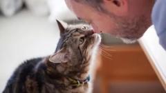 对猫与狗的研究发现，它们也可以读懂和回应我们的身体语言、面部表情和声音。