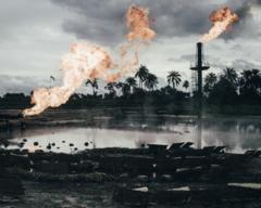 The wetlands of the Niger Delta