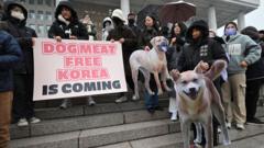 Pourquoi la controverse en Corée du Sud autour de la vente de viande de chien ?