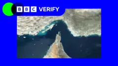 A satellite image of the Strait of Hormuz with BBC Verify branding