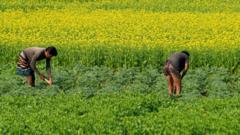 কৃষি