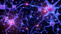 Neurons in the brain connecting and firing