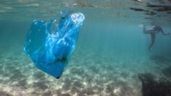 New Zealand bans plastic bags for fresh produce in supermarkets - BBC News