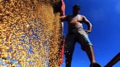 Traajador con soja en Brasil