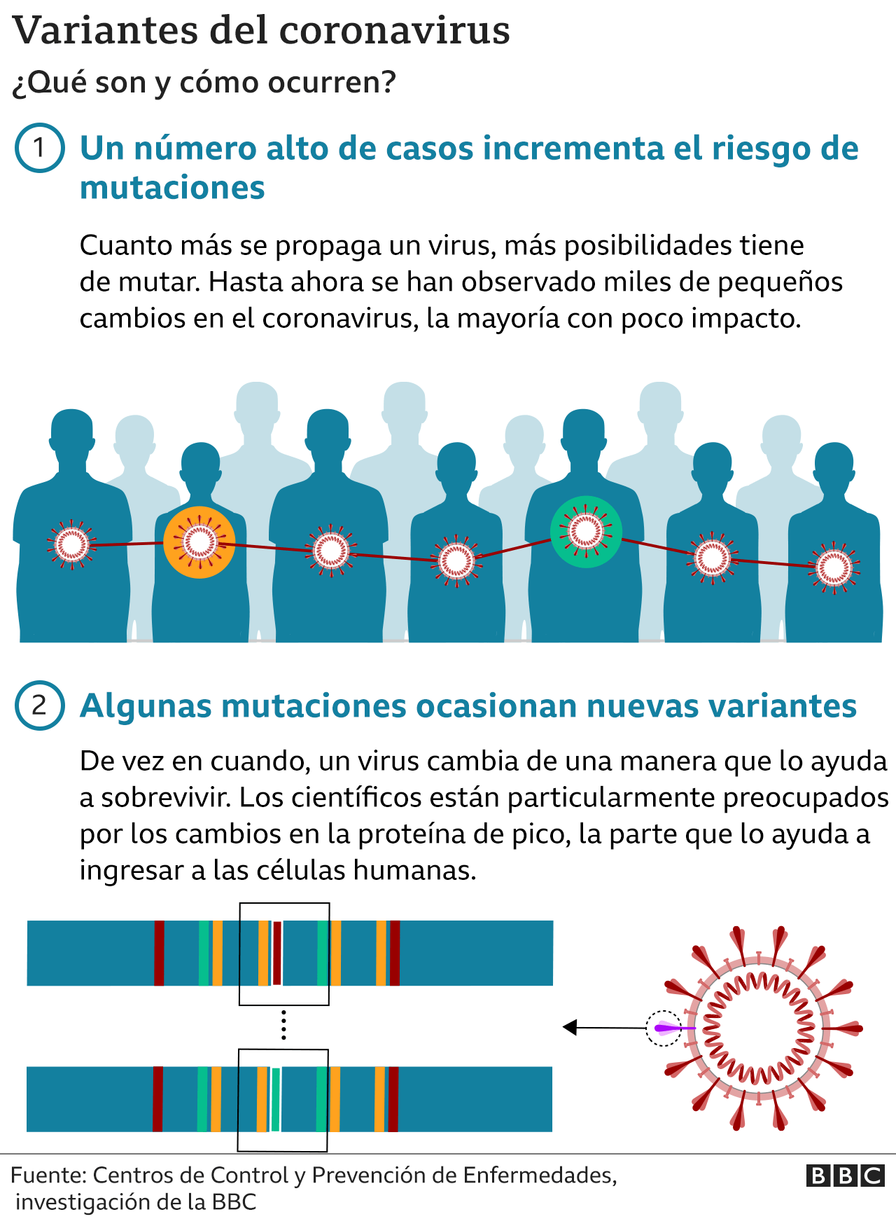 BA.4 y BA.5 las subvariantes más contagiosas del covid que están(01)