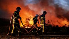 firefighters walking alongside a wildfire