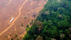 Amazon Rainforest: Deforestation In Brazil At Six-year Low - BBC News