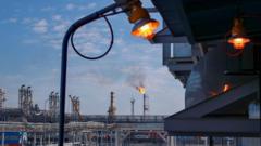 Вид на завод по добыче, сжижению и поставкам природного газа 