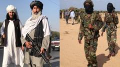 Taliban iyo Al-Shabaab