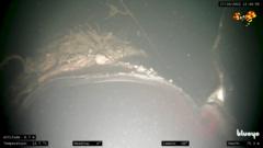 Footage of twisted metal at the bottom of the seabed, in murky waters