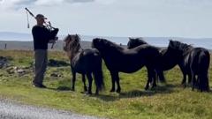 Swiss bagpiper serenades Shetland ponies