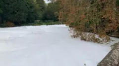 Thetford river group calls for legal action over foam pollution – BBC