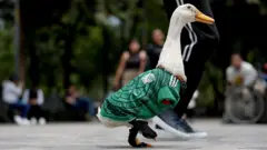 Merlin the duck wearing a Mexico team jersey waddling along a pavement