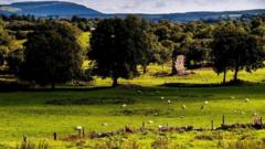 سینٹ نکولس کا قبرستان