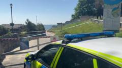 Boy, 17, arrested after woman stabbed to death on beach