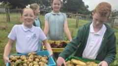 Children's no dig fruit and veg farm reaps award