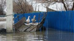«Крупнейшее бедствие за 80 лет». Паводки в Казахстане подтопили тысячи домов, отрезаны десятки населенных пунктов