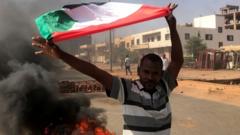 A protester in Sudan waves a flag