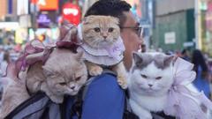 'Putujem svetom sa tri mačke na ramenu'