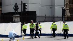 Westminster Car Crash: Man Arrested On Suspicion Of Terror Offences ...